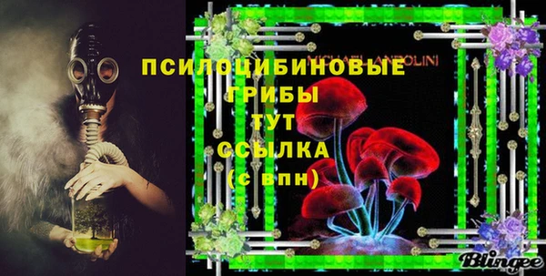 мдпв Абдулино