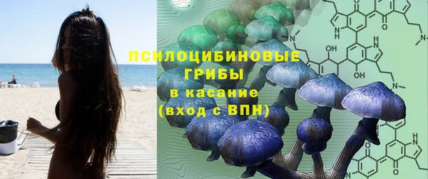 хмурый Абинск