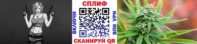 МАРИХУАНА сатива  нарко площадка официальный сайт  Шилка  как найти наркотики 